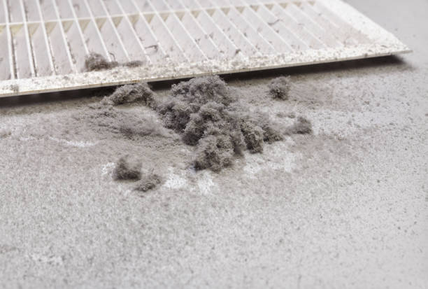 Best HVAC System Cleaning  in Antwerp, OH