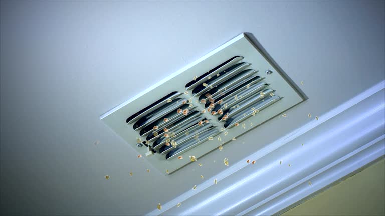 Best Best Air Duct Cleaning Company  in Antwerp, OH