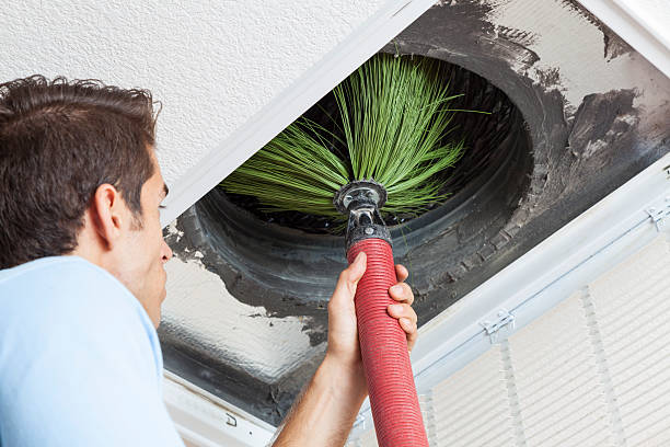 Best Ductwork Cleaning Services  in Antwerp, OH